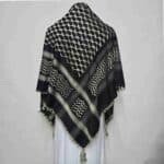 ALMAS-MNYPCS-0001-#13