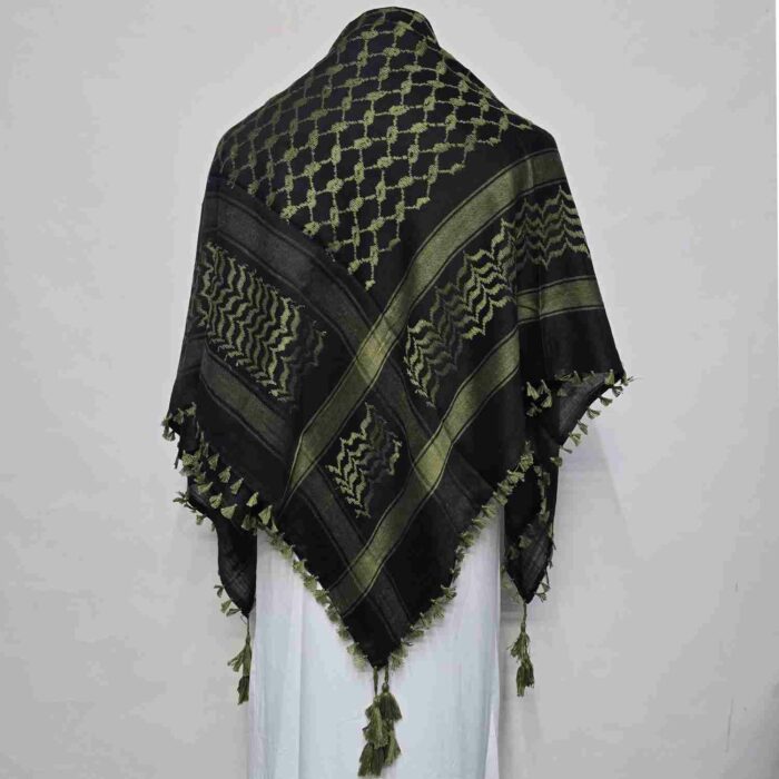 ALMAS-MNYPCS-0001-#12