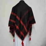 ALMAS-MNYPCS-0001-#10