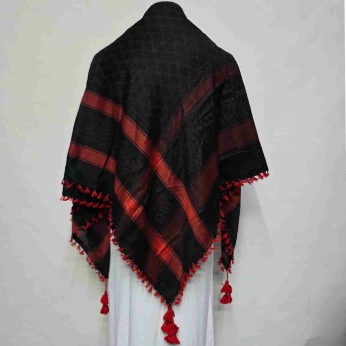 ALMAS-MNYPCS-0001-#10