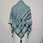 ALMAS-MNYPCS-0001-#11