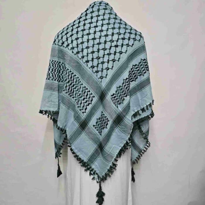 ALMAS-MNYPCS-0001-#11