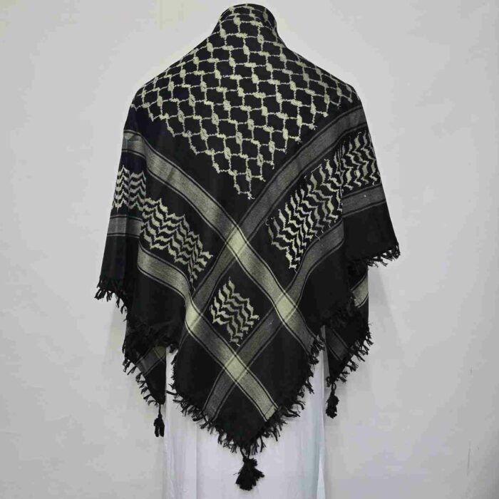 ALMAS-MNYPCS-0001-#14