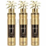 Ayat Perfumes Air Freshener Aerosol Spray 300ml (10.1oz) (14)