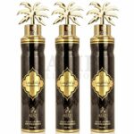 Ayat Perfumes Air Freshener Aerosol Spray 300ml (10.1oz) (6)