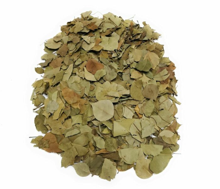 Big Size Dried Broken Sidr Leaves from Yemen